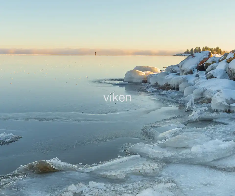 Viken