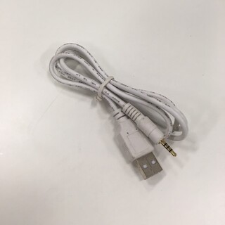 Wipod Usb/Power Cable