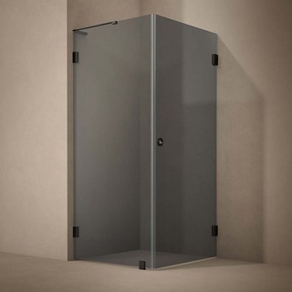 Brusehjørne Combi Lynx Mørk Tonet Glass 100X80 Sort