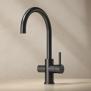 Køkkenarmatur Ciconia Med Lukning Mat Sort